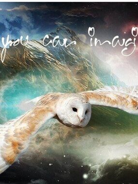 4x6 Owl in Space Fantasy Composite Oil Painting‎ Wall Art Print